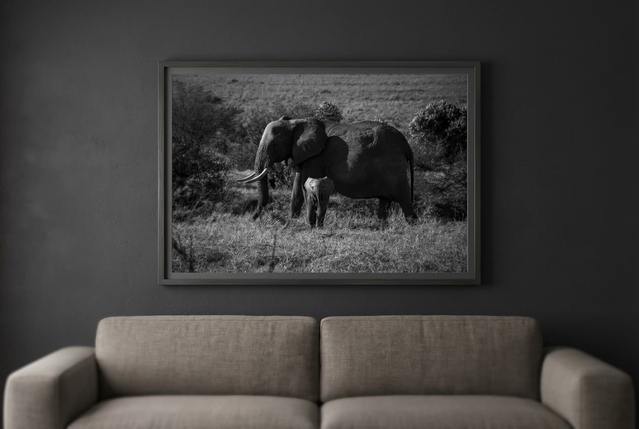 The same photo framed on a dark wall above a sofa in a living room